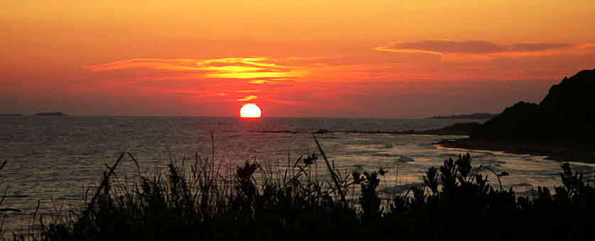 Beach view…